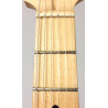Ibanez Andy Timmons AT10P remium con custodia