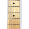 Ibanez Andy Timmons AT10P remium con custodia