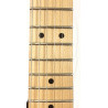 Ibanez Andy Timmons AT10P remium con custodia