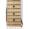 Ibanez Andy Timmons AT10P remium con custodia