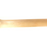 Ibanez Andy Timmons AT10P remium con custodia
