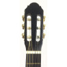 Harley Benton CG200CE-BK
