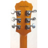 Epiphone Les Paul Standard Plus Trans Amber
