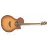 Yamaha APX 700 SDB con custodia rigida