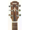 Yamaha APX 700 SDB con custodia rigida