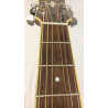 Yamaha APX 700 SDB con custodia rigida