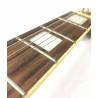 Epiphone Les Paul Plus Custom