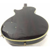 Epiphone Les Paul Plus Custom