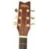 Washburn D-100M BR