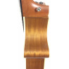 Taylor 414 CE 2004 con custodia rigida