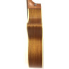 Taylor 414 CE 2004 con custodia rigida