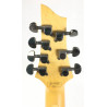 Schecter SGR C-7