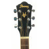 Ibanez V50NJP-BLK