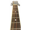 Ibanez V50NJP-BLK