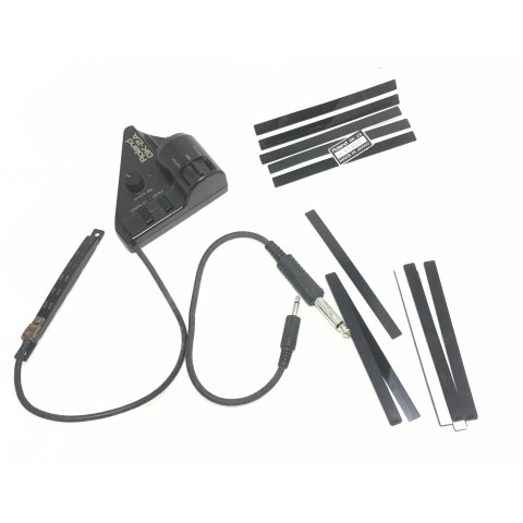 Roland GK-2A Pickup Esafonico