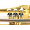 Yamaha YSL354V Trombone a Pistoni
