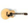 Guild F-150RCE GAD con custodia rigida