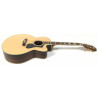 Guild F-150RCE GAD con custodia rigida