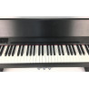 Roland F 120 Black