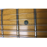 Fender Stratocaster American Deluxe CAR Seriale US10085709