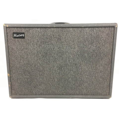 Steelphone Mustang 60 combo valvolare