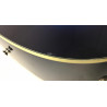 Ibanez PF15ECE Blu Sunburst