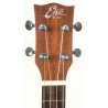 Eko Evo Ukulele Baritono con custodia