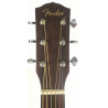 Fender Cp-100 Parlor + artec msp 50 soundhole pickup