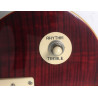 Epiphone Les Paul Standard Pro Plus Top Wine red