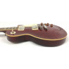 Epiphone Les Paul Standard Pro Plus Top Wine red