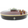 Epiphone Les Paul Standard Pro Plus Top Wine red