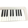 Roland PC200 MKII