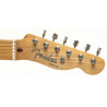 Fender Telecaster Baja Modded seriale MX12166953 con custodia