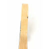 Fender Telecaster Baja Modded seriale MX12166953 con custodia