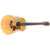 Taylor 214 con custodia rigida