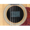 Taylor 214 con custodia rigida