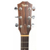 Taylor 214 con custodia rigida