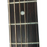 Taylor 214 con custodia rigida