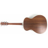 Taylor 214 con custodia rigida