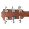 Taylor 214 con custodia rigida