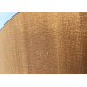 Taylor 214 con custodia rigida