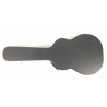 Taylor 214 con custodia rigida