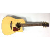 ibanez acustica aw10ece + custodia