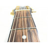 ibanez acustica aw10ece + custodia