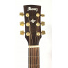 ibanez acustica aw10ece + custodia