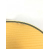 ibanez acustica aw10ece + custodia