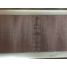ibanez acustica aw10ece + custodia