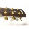 ibanez acustica aw10ece + custodia