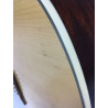 ibanez acustica aw10ece + custodia