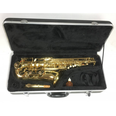 J. Michael AL-500 Sax Contralto con accessori